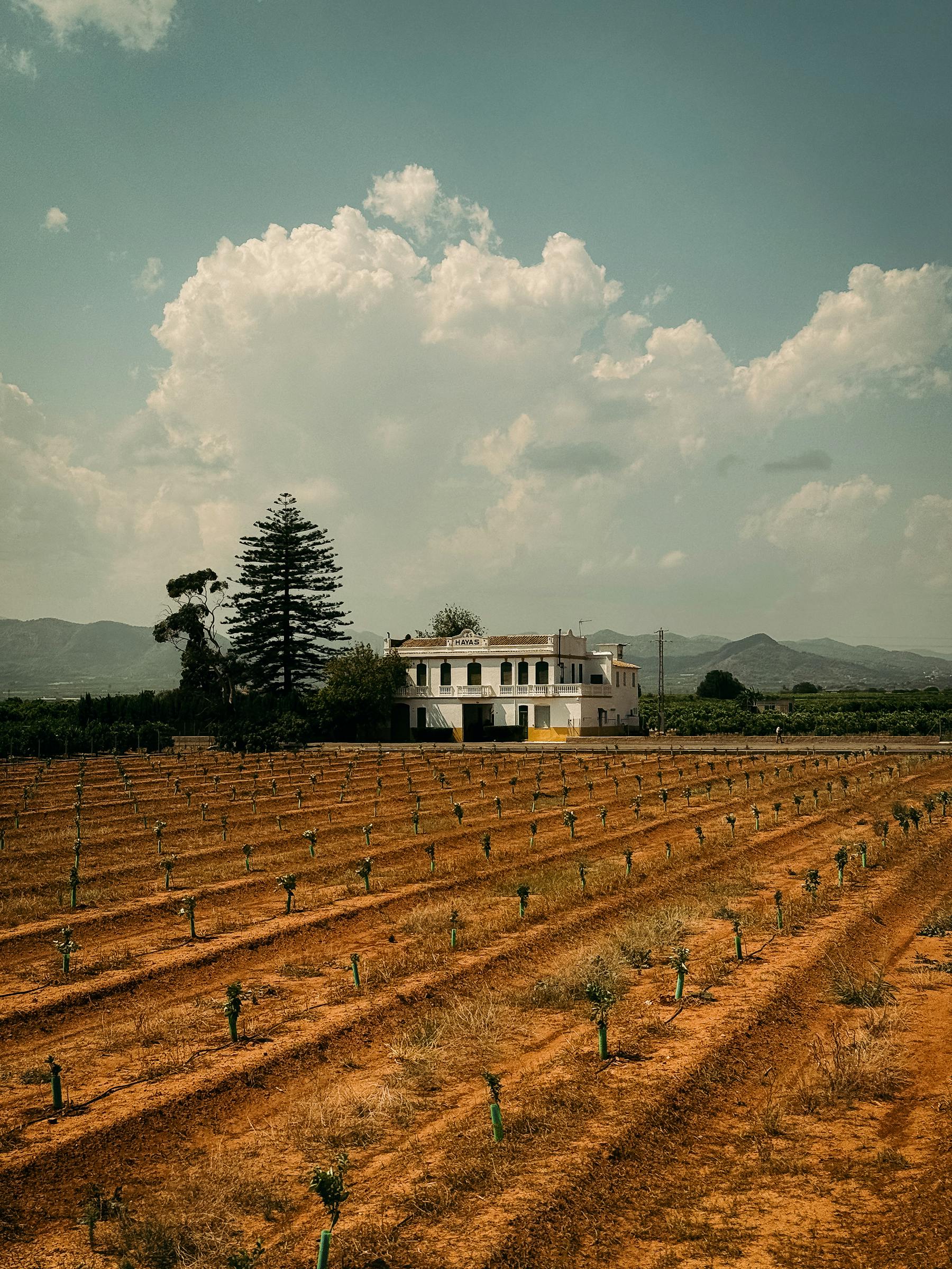 The farmhouse
