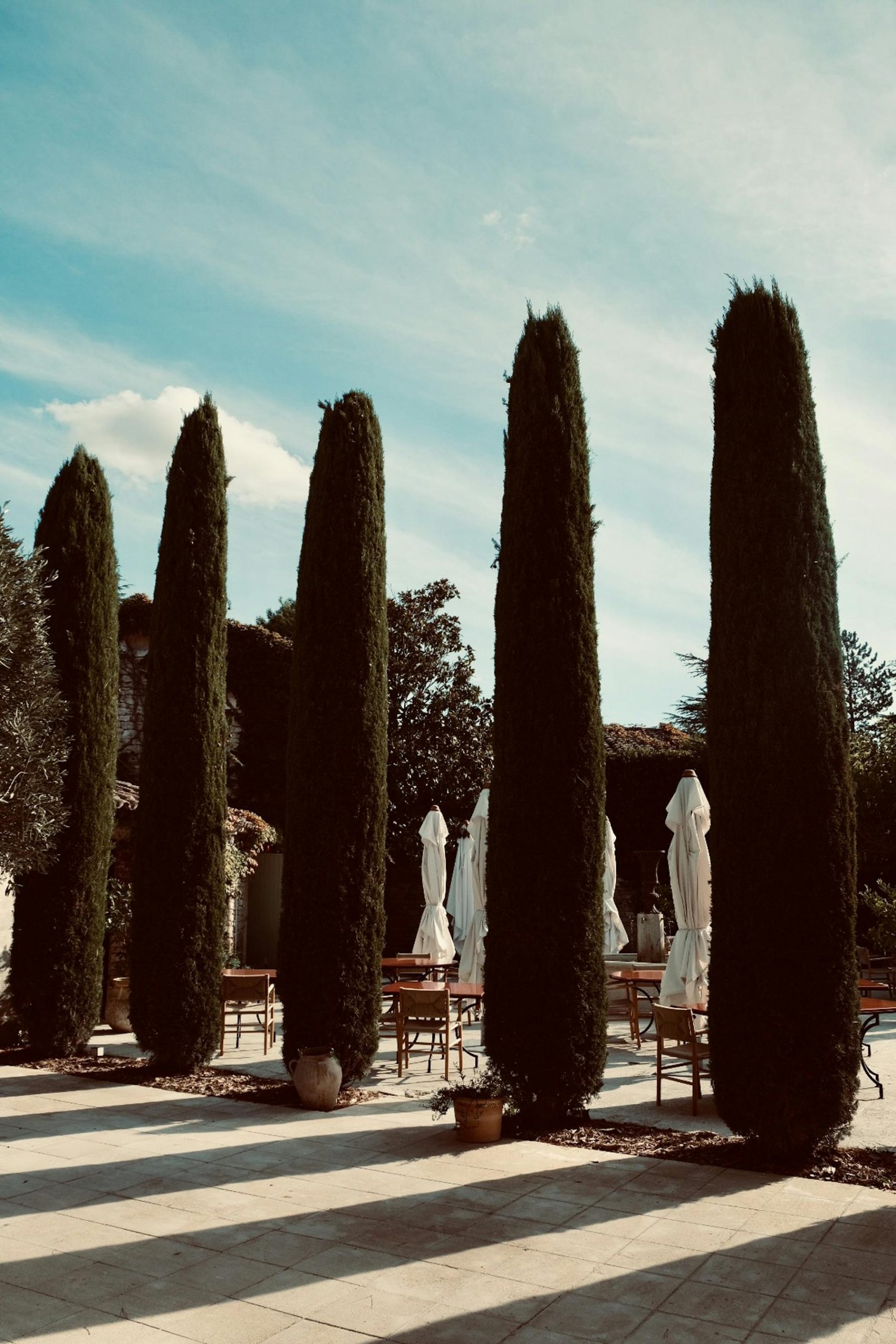 The cypress walk