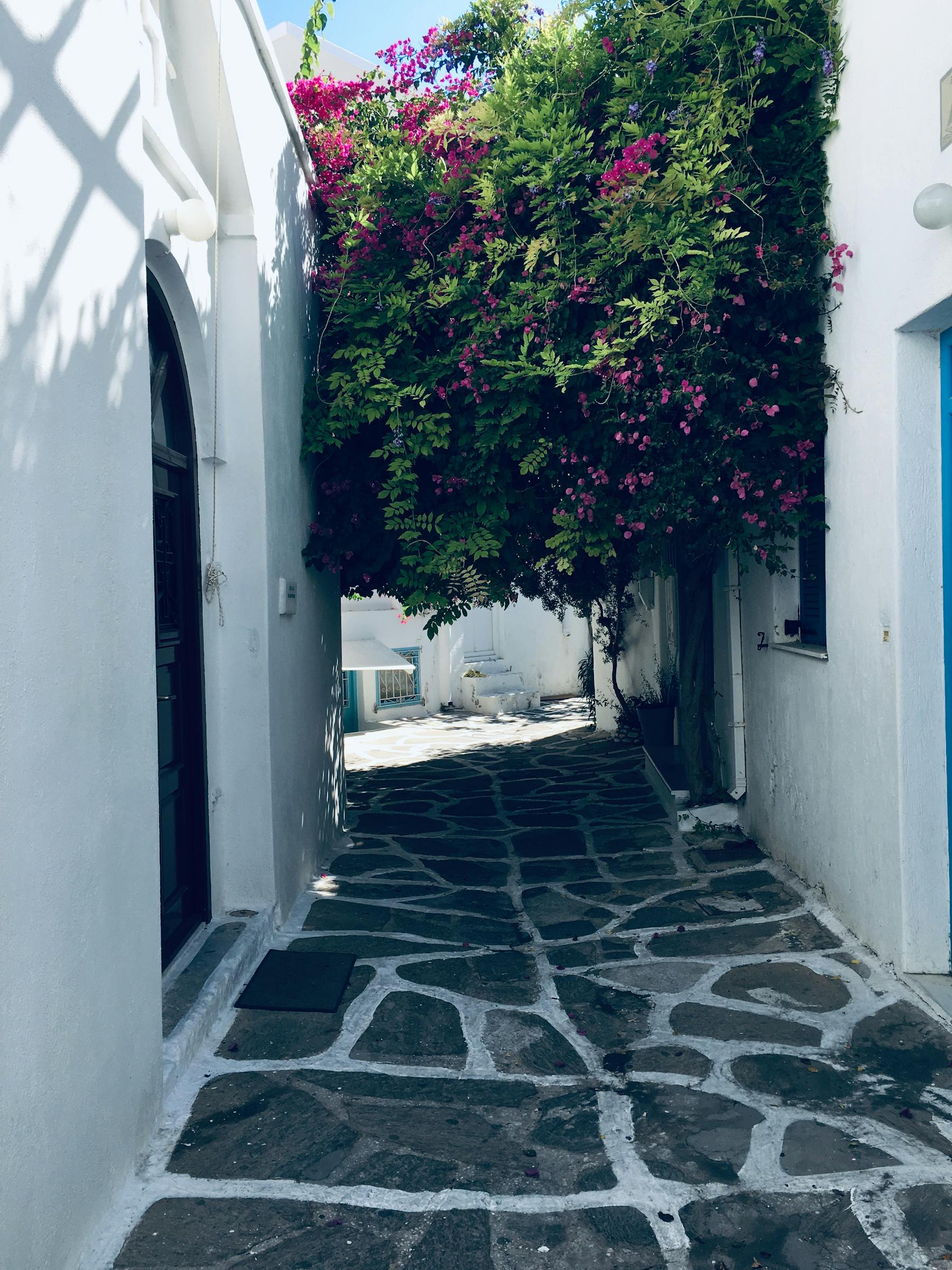 A Cycladic alleyway and bougainvillea