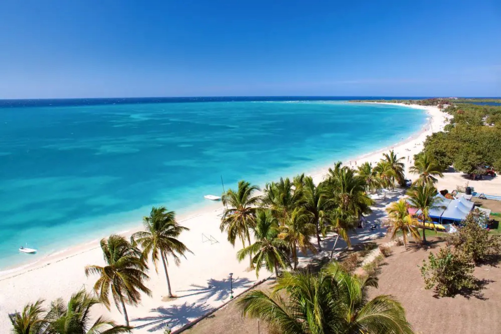 Palms over white sand